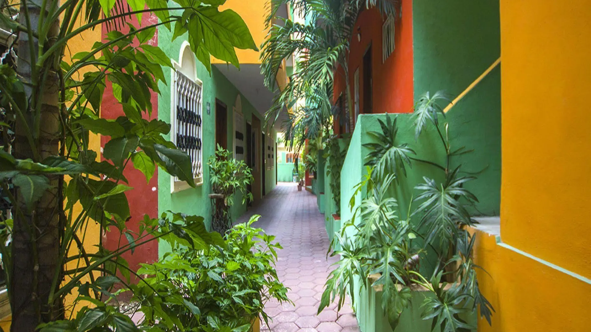 Beach House Hotel Playa del Carmen 3*,